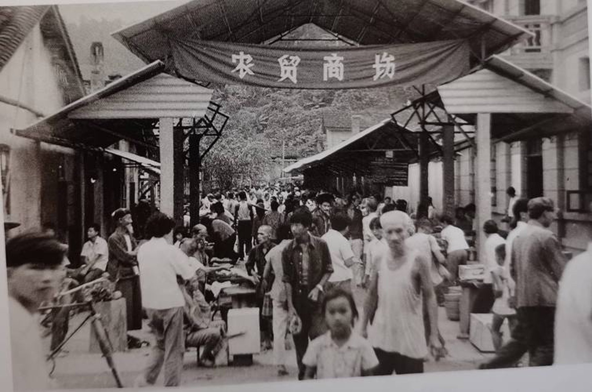 三元电子商务