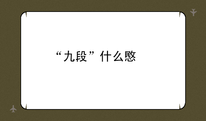 “九段”什么意思