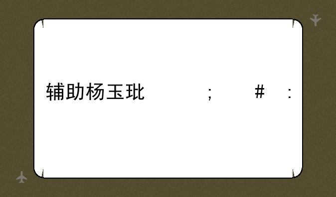 辅助杨玉环怎么玩