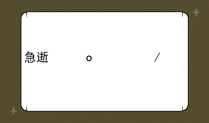 急速赛车下载mp4