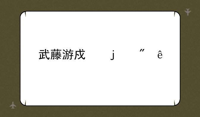 武藤游戏的父亲