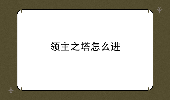 领主之塔怎么进