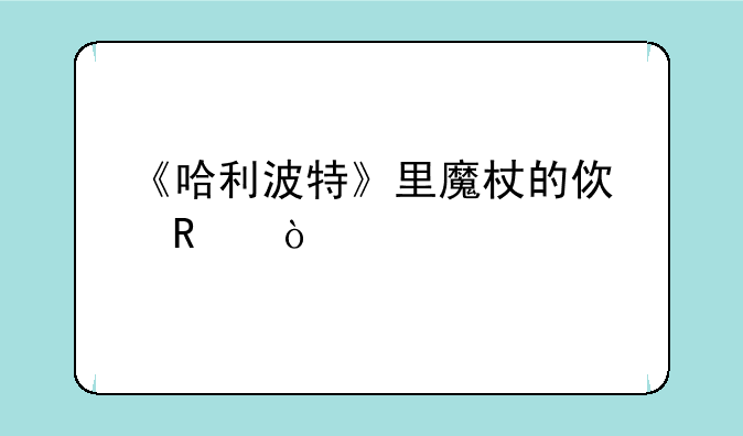 《哈利波特》里魔杖的使用？