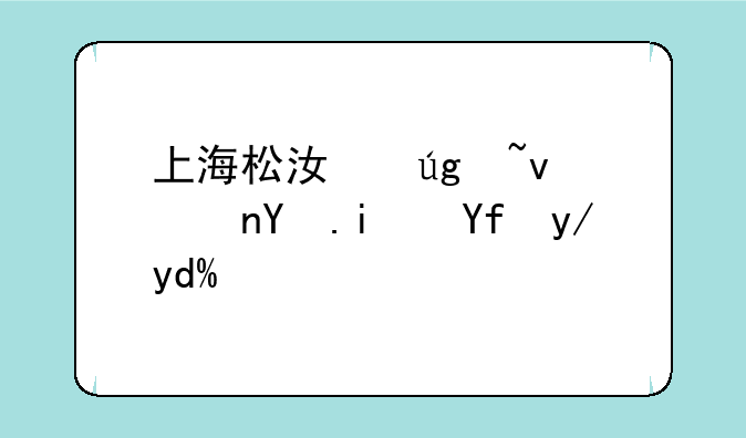 上海松江龙域集团是国企吗？