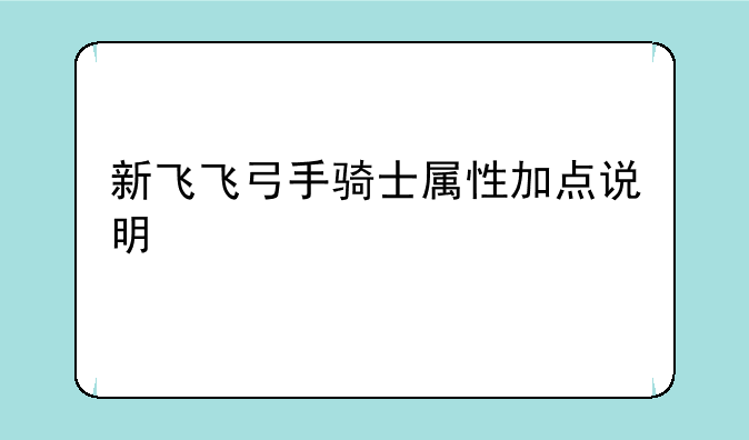 新飞飞弓手骑士属性加点说明