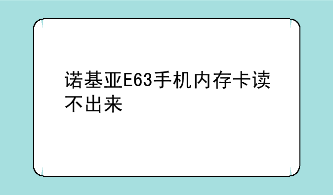 诺基亚E63手机内存卡读不出来