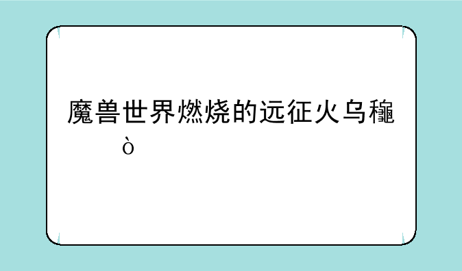 魔兽世界燃烧的远征火乌龟？