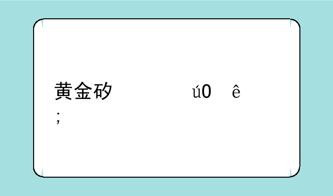 黄金矿工输了怎样才能接着玩