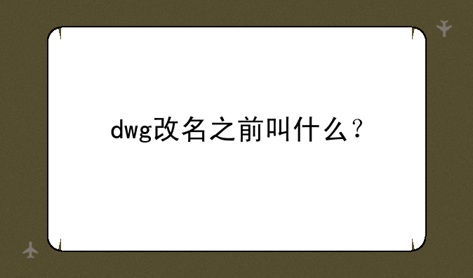 dwg改名之前叫什么？