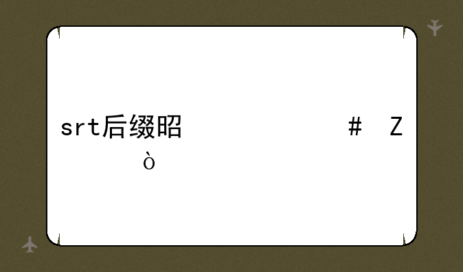 srt后缀是什么文件？