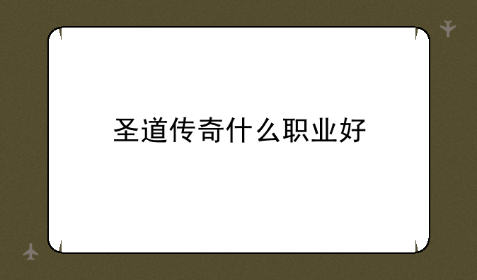 圣道传奇什么职业好