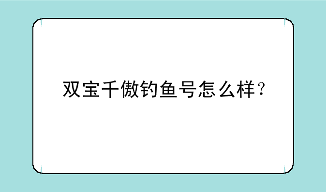 双宝千傲钓鱼号怎么样？