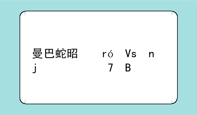 曼巴蛇是眼镜蛇的一种吗