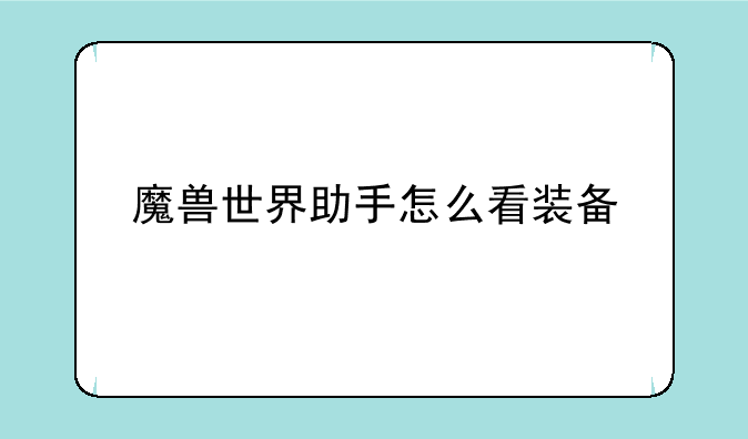 魔兽世界助手怎么看装备