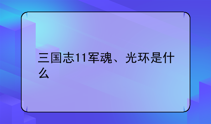 三国志11军魂、光环是什么