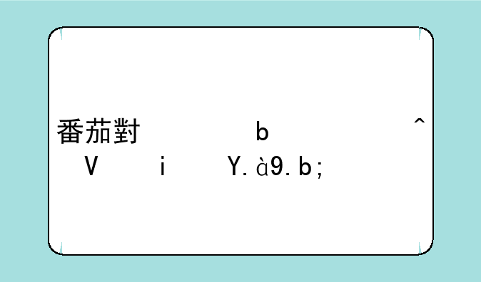 番茄小说阅读时长是什么？