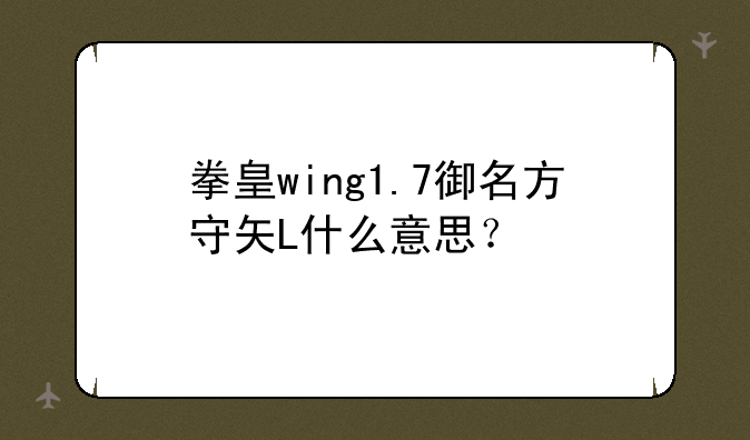 拳皇wing1.7御名方守矢L什么意思？