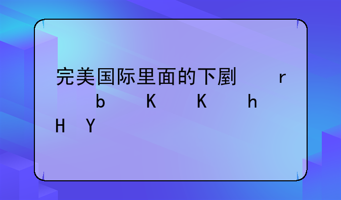 完美国际里面的下副本是什么意思