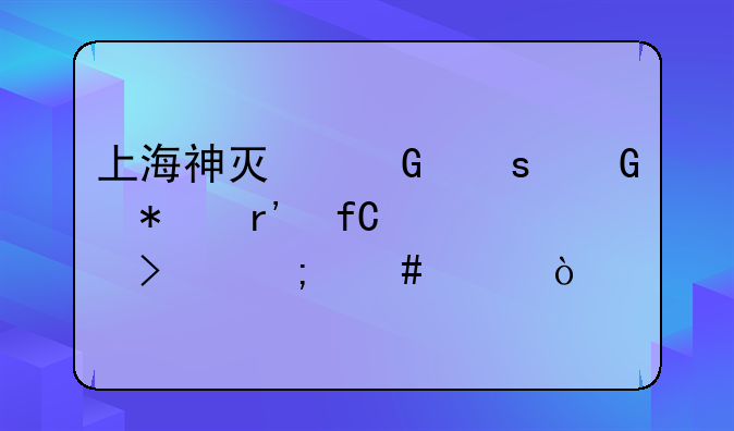 上海神灯网络科技有限公司怎么样？