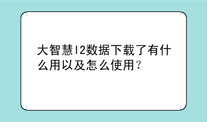 大智慧l2数据下载了有什么用以及怎么使用？