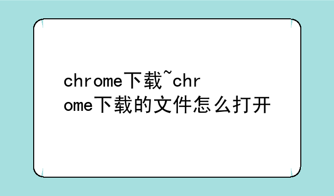 chrome下载~chrome下载的文件怎么打开