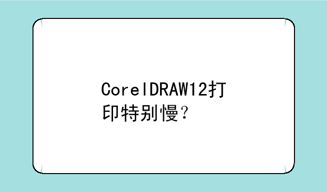 CorelDRAW12打印特别慢？