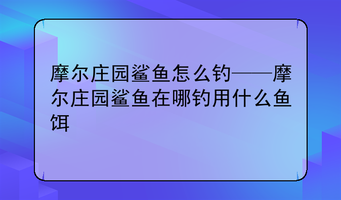 摩尔庄园鲨鱼怎么钓——摩尔庄园鲨鱼在哪钓用什么鱼饵