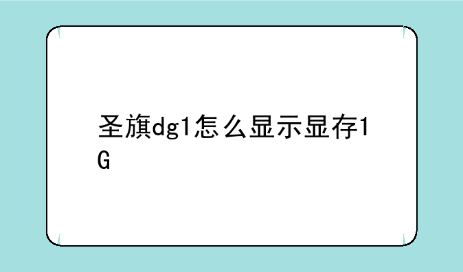 圣旗dg1怎么显示显存1G