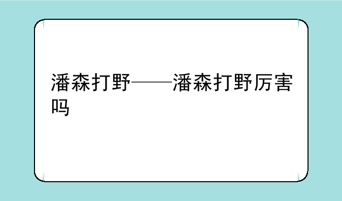 潘森打野——潘森打野厉害吗
