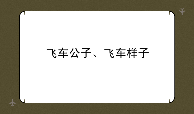飞车公子、飞车样子